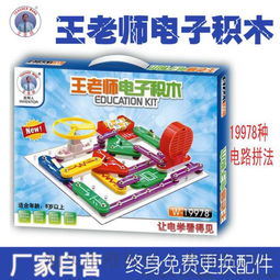 王老師電子積木19978拼 電學物理實驗與DIY科教玩具的完美結合