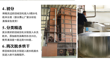 【羽絨羽毛水洗白鴨毛片 枕頭床墊填充原材料 2~4cm鴨毛片工廠批發】價格,廠家,圖片,羽毛、羽絨,安徽方翔羽絨制品-